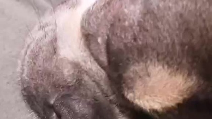 Nie przeszkadzać, jestem zmęczony.