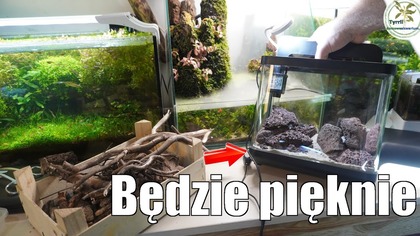 Zakładanie nietypowego akwarium.  Prosta i ładna aranżacja #akwarium #akwarystyka #invital