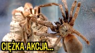 TEN SAMIEC ZOSTAŁ DO TEGO STWORZONY 