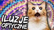 Niesamowite ILUZJE OPTYCZNE  - HASZTAGI