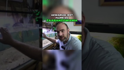 Zakładamy Nietypowe 100L