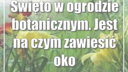 Święto w ogrodzie botanicznym.  Jest na czym zawiesić oko