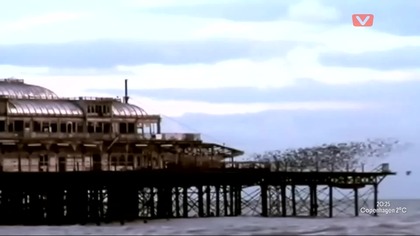 Leftfield & Fatboy Slim - Planet Of The Phatbird