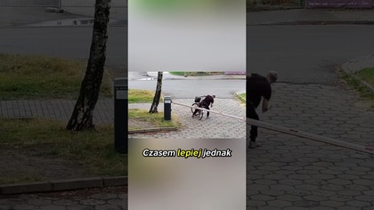 Rowerzysta kontra szlaban: kto wygrał?  #fail #rower #śmieszne