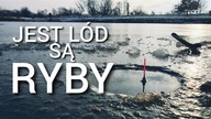268 JEST LÓD SĄ RYBY