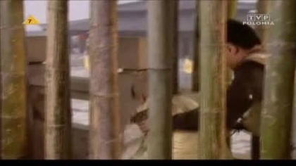 W. krainie. Wladcy. Smokow. Spellbinder2. 20