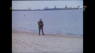 Film Polski.  - Co lubią tygrysy.