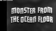 Potw&oacute;r z głębi Oceanu - Monster from the Ocean Floor 1954 napisy.pl