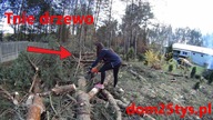 Żona tnie drzewo | Szykujemy miejsce na przydomową oczyszczalnie | Dom bez pozwolenia | #pawełwaga