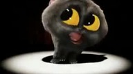 Śmieszny kot remix