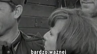 CZTEREJ PANCERNI I PIES  to dzięki niemu powstał serial? #czterejpancerni #prl #4pancerni