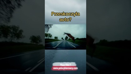 Jeden skok i sekunda grozy Przeskoczyła nad drogą.  Sarna.  #uwaga #dzikazwierzyna #droga #shorts