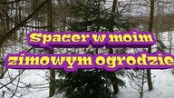 244. Zimowy Spacer Po Ogrodzie :-)