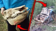 ZNALAZŁ IPHONA I CZASZKĘ!? - Znaleziska Widzów