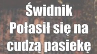 Świdnik: Połasił się na cudzą pasiekę