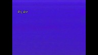 Pustynny Jastrząb ..... VID-1744780064699