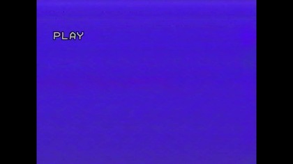 Pustynny Jastrząb ..... VID-1744780064699