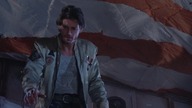 Świat oszalał World Gone Wild (1988) PL