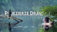 Pojezierze Drawskie rowerem  Ogromne zaskoczenie! Niesamowite jeziora na biwak