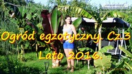 #158.     Ogród egzotyczny.  Cz. 3 Lato 2016.