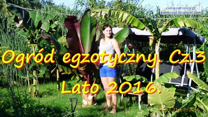 #158.     Ogród egzotyczny.  Cz. 3 Lato 2016.