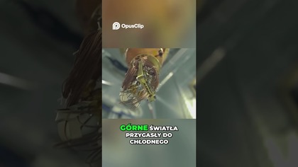 Kto Zbudował Wszechświat Tajemnica Eksperymentu