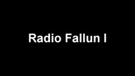 Huta 99: Radio Fallun Cz. 1