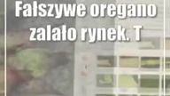 Fałszywe oregano zalało rynek.  To najczęściej podrabiana przyprawa w UE