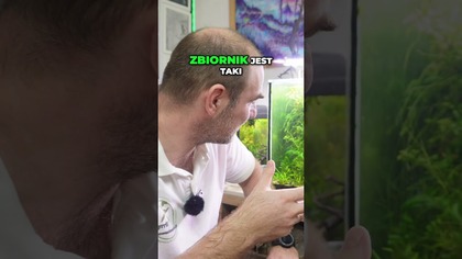 Mój Zarośnięty Zbiornik Piękno w Naturze!