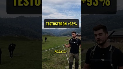 TEN SUPLEMENT DOSŁOWNIE PODWOIŁ TESTOSTERON