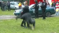 Szare Wilki pokaz samoobrony Maroko