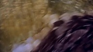 Latajacy cyrk Monty Pythona | S03E03 | PL DVDRip |