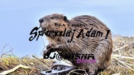 Stachu Jones x PUT-IN x ADAM!ADAŚ - Spie****aj ADAM (Dj@WiSNIA Blend)