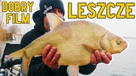 Bardzo fajny film o łowieniu LESZCZY na FEEDER - Gigantyczny leszcz :D