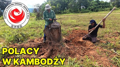 Wykopywanie korzeni.  Przygotowania działki pod budowę