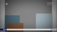 TVP Stream - Telewizja Polska S. A.  2020-06-28 19 00 (online-video-cutter. com) (1)
