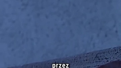 PREDATOR 2 - Niebezpieczna scena? #predator #predator2 #horror