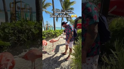 Flaming mnie zaatakował na ARUBIE  #shorts