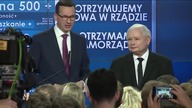 Pinky i mózg