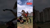 Cosplay MULAN, czyli chińska wojowniczka w prawdziwym życiu