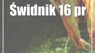 Świdnik: 16 projektów za ponad milion złotych