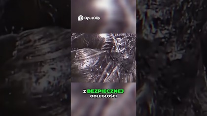 Tajemnica stopy słonia Niezwykłe znalezisko z katastrofy jądrowej