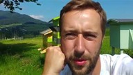 Co tam u moich eko pszczółek.