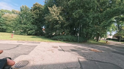 Pałac w Nakle Śląskim, Polska