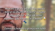 Zabezpiecz kuwetę!  #Zwierzęta #Pies #Kot