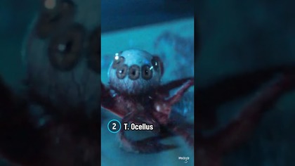 Creatures in Alien: Earth Ranked from Least to Most Terrifying