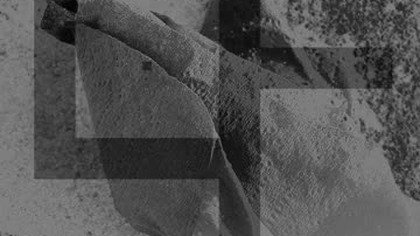 Decline and Fall * Everywhere is Nowhere