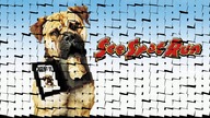 Agencie, podaj łapę - See Spot Run (2001) Lektor