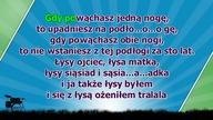 Było morze w morzu kołek - z linią melodyczną ( karaoke )