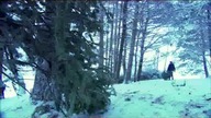 Treevenge